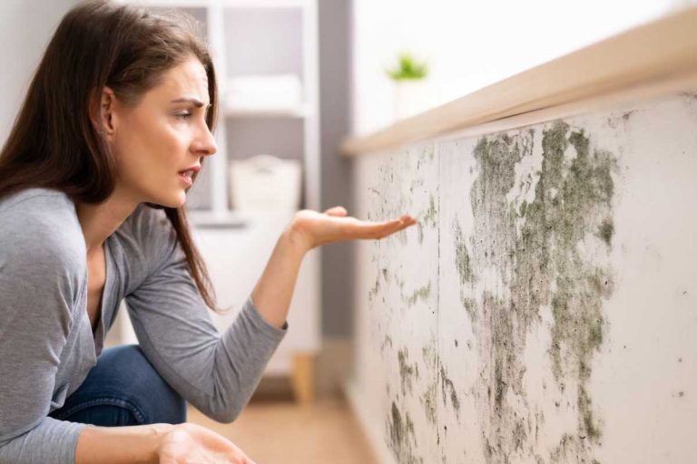 De la moisissure sur un mur à cause de l'humidité